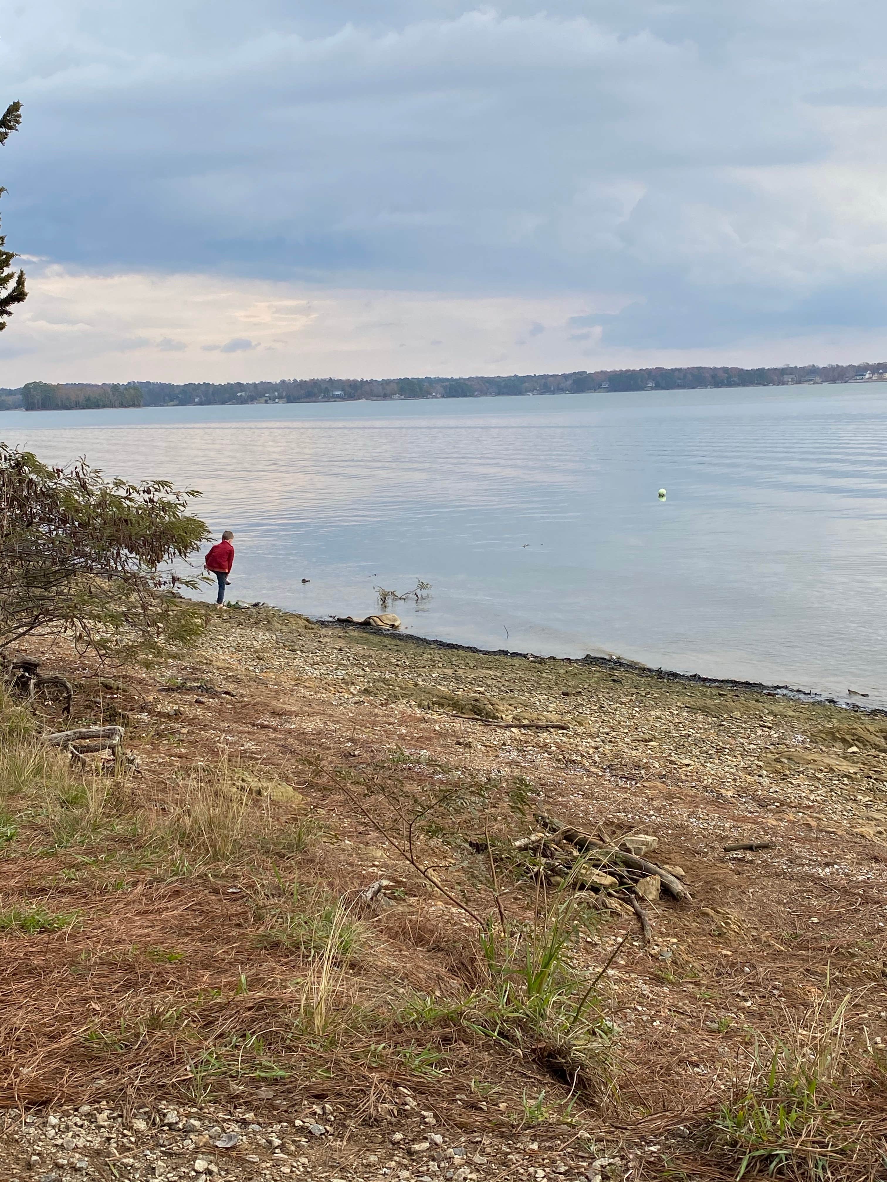 Camper-submitted photo at Dreher Island State Park Campground in South Carolina