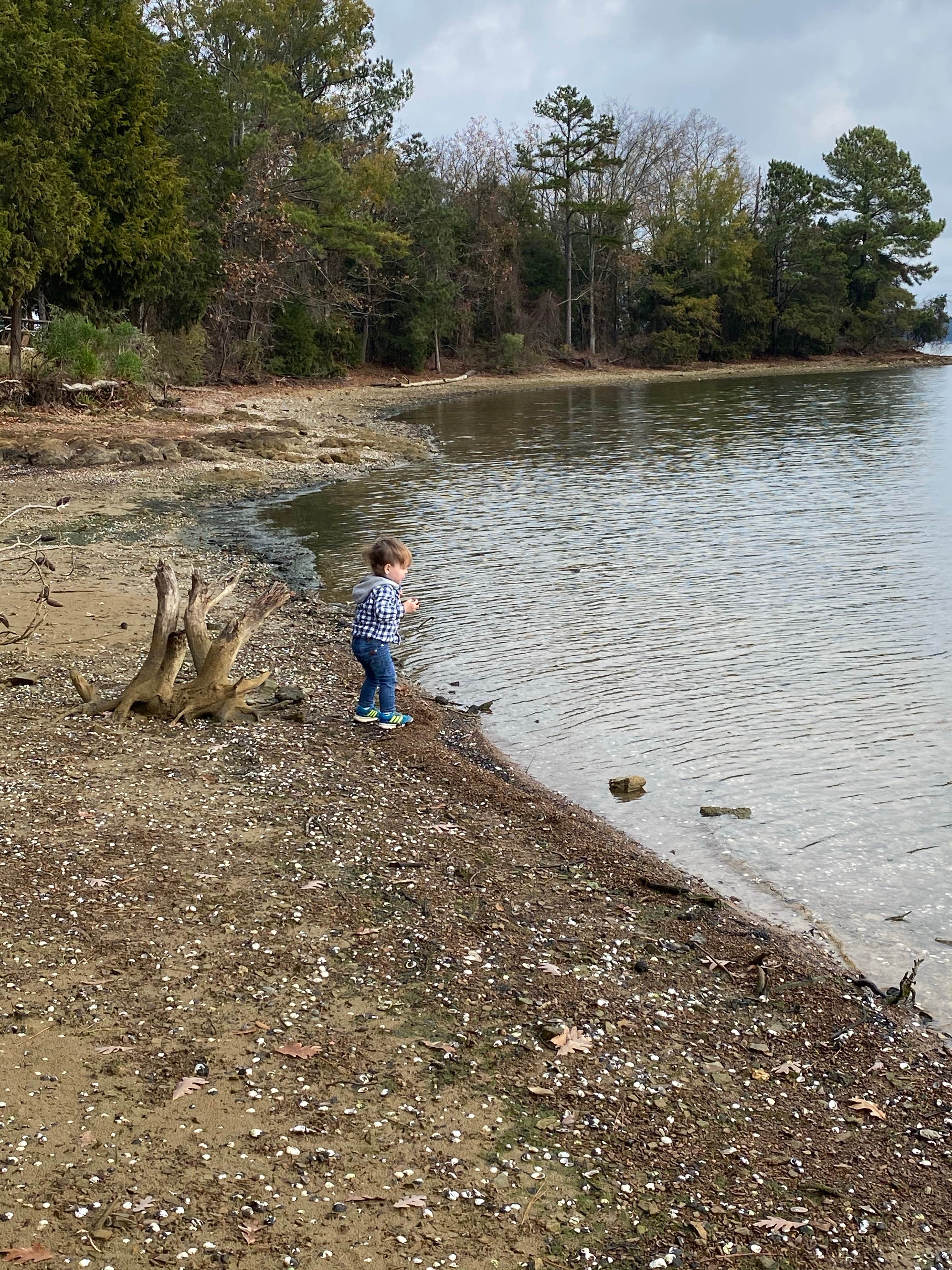 Camper submitted image from Dreher Island State Park Campground - 1