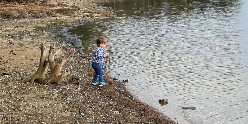 Camper submitted image from Dreher Island State Park Campground