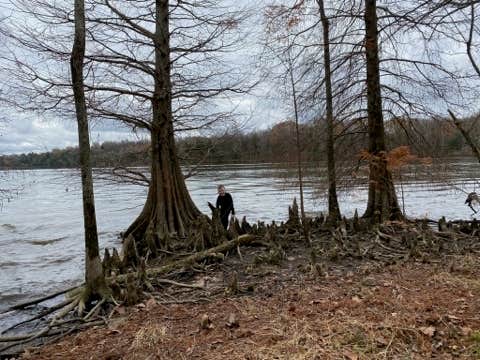 Camper-submitted photo at Bledsoe Creek State Park Campground near Springfield, TN
