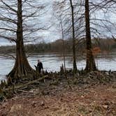 Review photo of Bledsoe Creek State Park Campground by Emily K., December 9, 2020