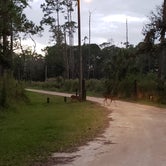 Review photo of Highlands Hammock State Park Campground by Stephanie G., December 9, 2020