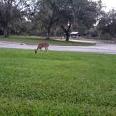 Review photo of Lake Kissimmee State Park Campground by Stephanie G., December 9, 2020