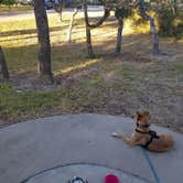 Review photo of Enchanted Oaks RV Park by Elizabeth N., December 9, 2020
