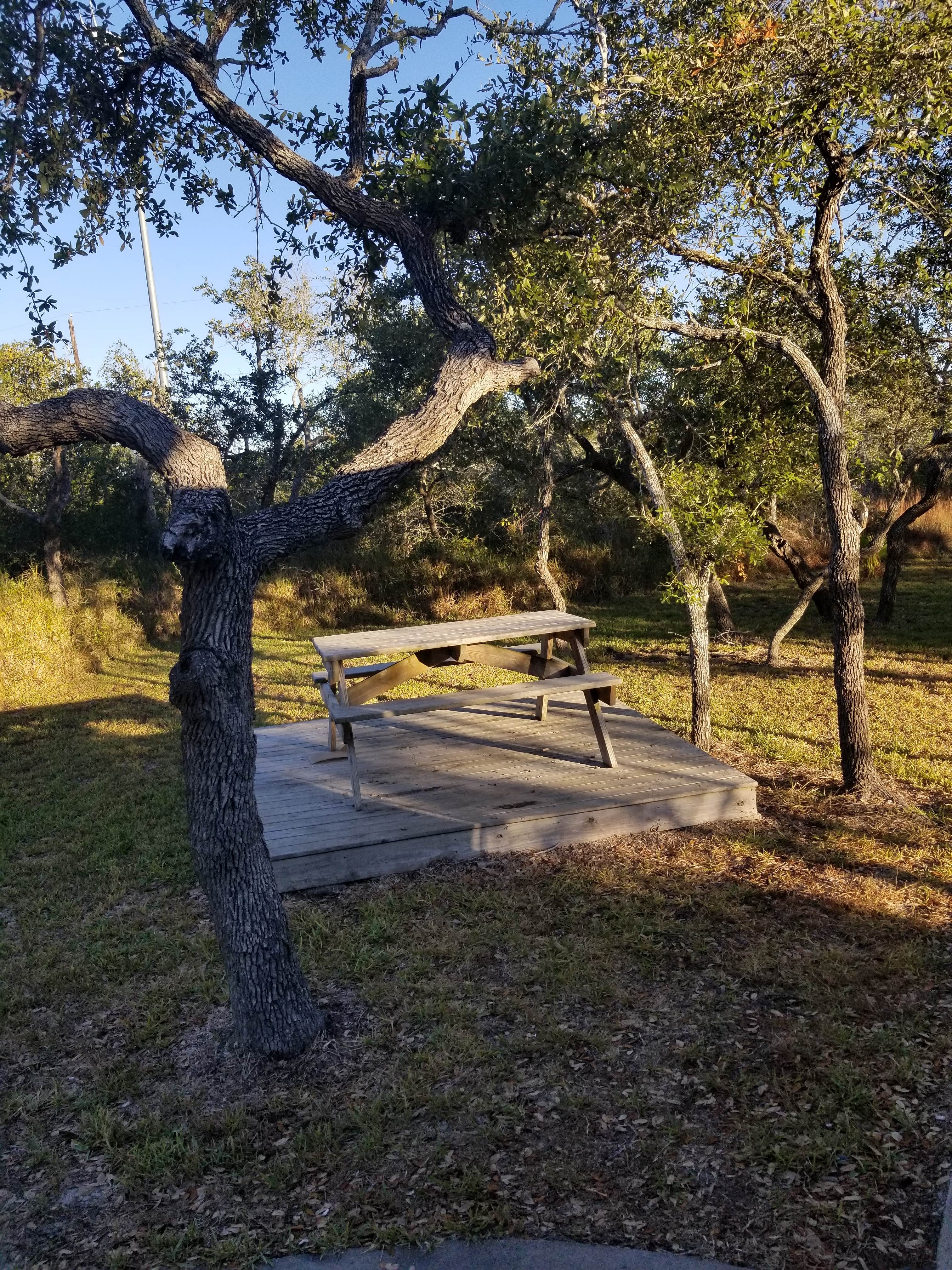 Camper-submitted photo at Enchanted Oaks RV Park near Fulton, TX