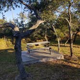 Review photo of Enchanted Oaks RV Park by Elizabeth N., December 9, 2020
