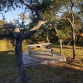 Review photo of Enchanted Oaks RV Park by Elizabeth N., December 9, 2020