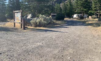 Camping near Heart Lake Cabin — Yellowstone National Park: Canyon Campground, Custer Gallatin National Forest, Montana