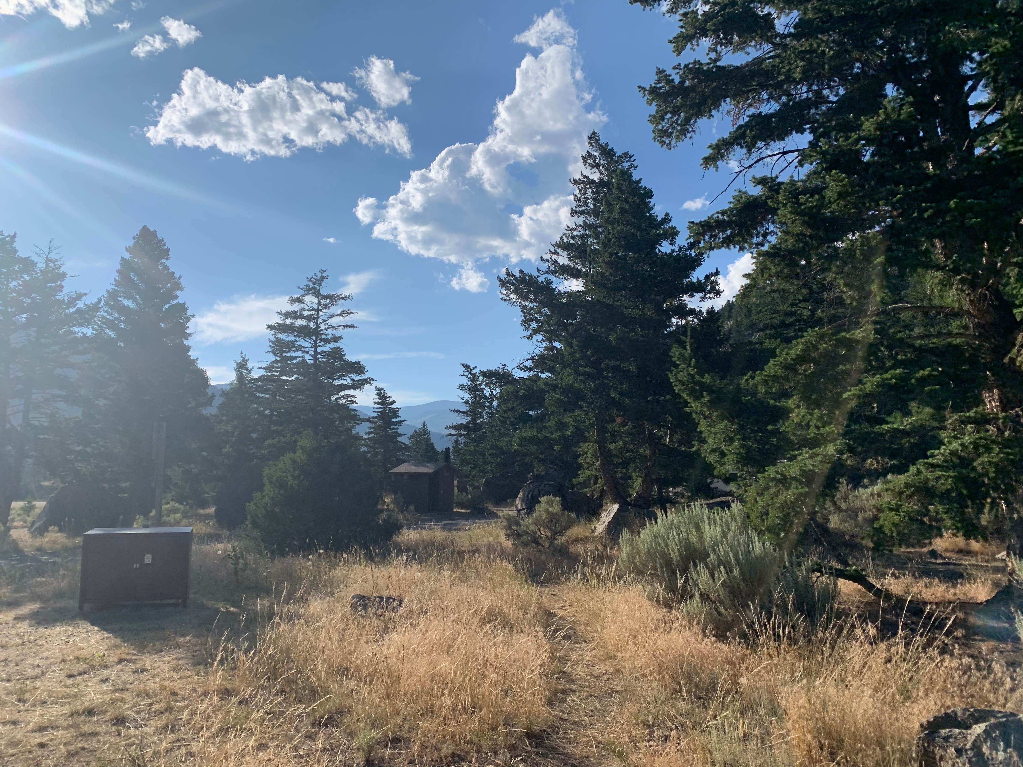 Camper-submitted photo at Canyon Campground near Custer Gallatin National Forest