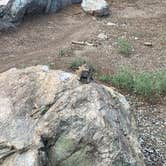 Review photo of Pinon Flats Campground — Great Sand Dunes National Park by Elizabeth G., December 9, 2020