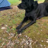 Review photo of Gulpha Gorge Campground — Hot Springs National Park by Elizabeth G., December 9, 2020