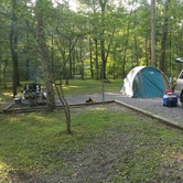 Review photo of Douthat State Park Campground by Bridget H., October 28, 2020