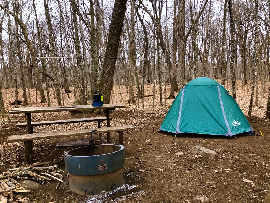 Camper submitted image from Wild River State Park Campground - 1