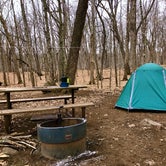 Review photo of Wild River State Park Campground by HollyRose M., December 9, 2020