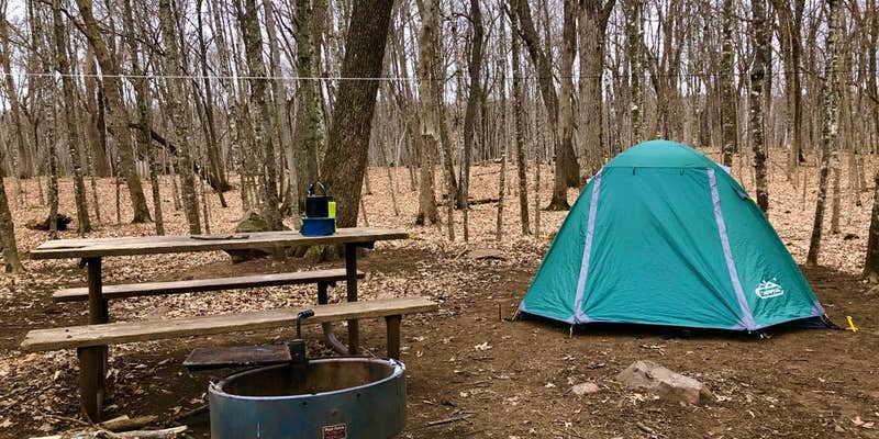 Camper submitted image from Wild River State Park Campground