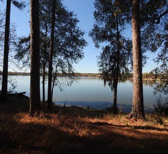 Camper-submitted photo from Double Lake Recreation Area