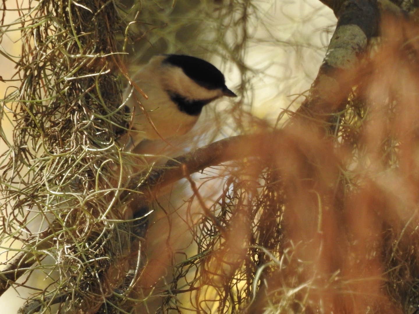 Camper-submitted photo at Sam Houston National Forest Cagle Recreation Area near New Waverly, TX