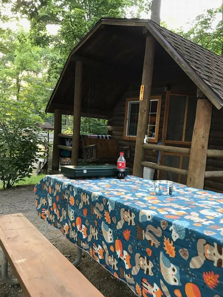 Camper submitted image from Natural Bridge-Lexington KOA - 1