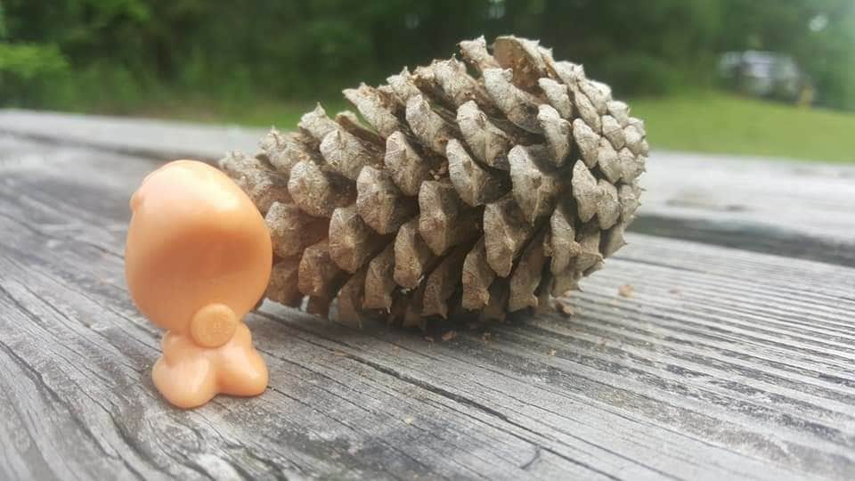 Camper-submitted photo at Pocahontas State Park Campground in Virginia