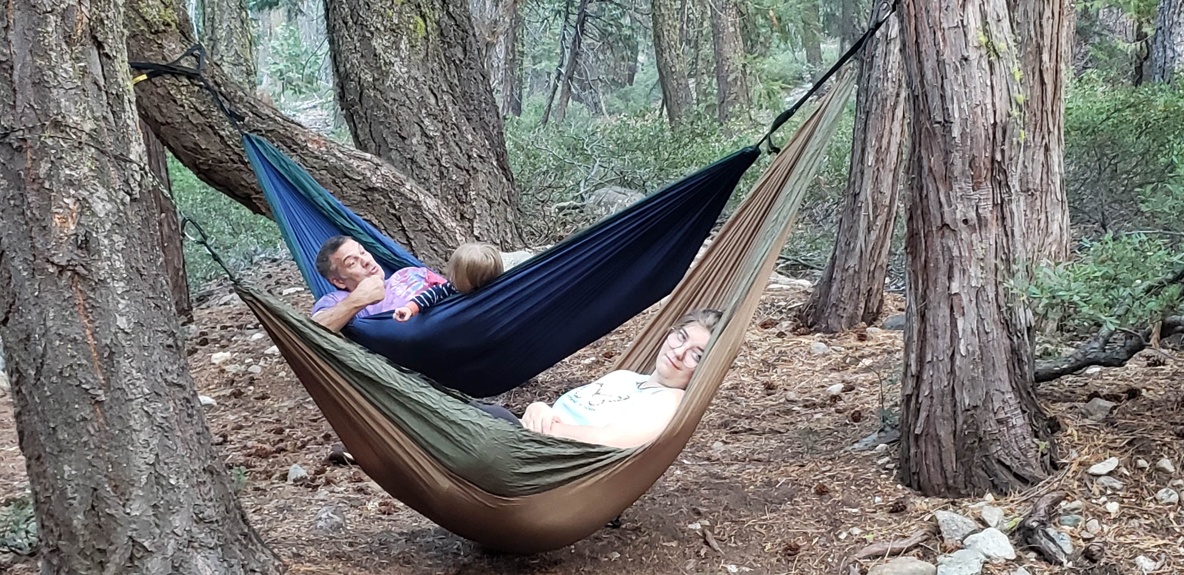 Camper submitted image from Plumas-Eureka State Park Campground - 5