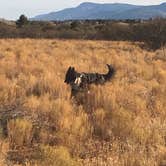 Review photo of Dead Horse Ranch State Park Campground by Lisa S., December 9, 2020