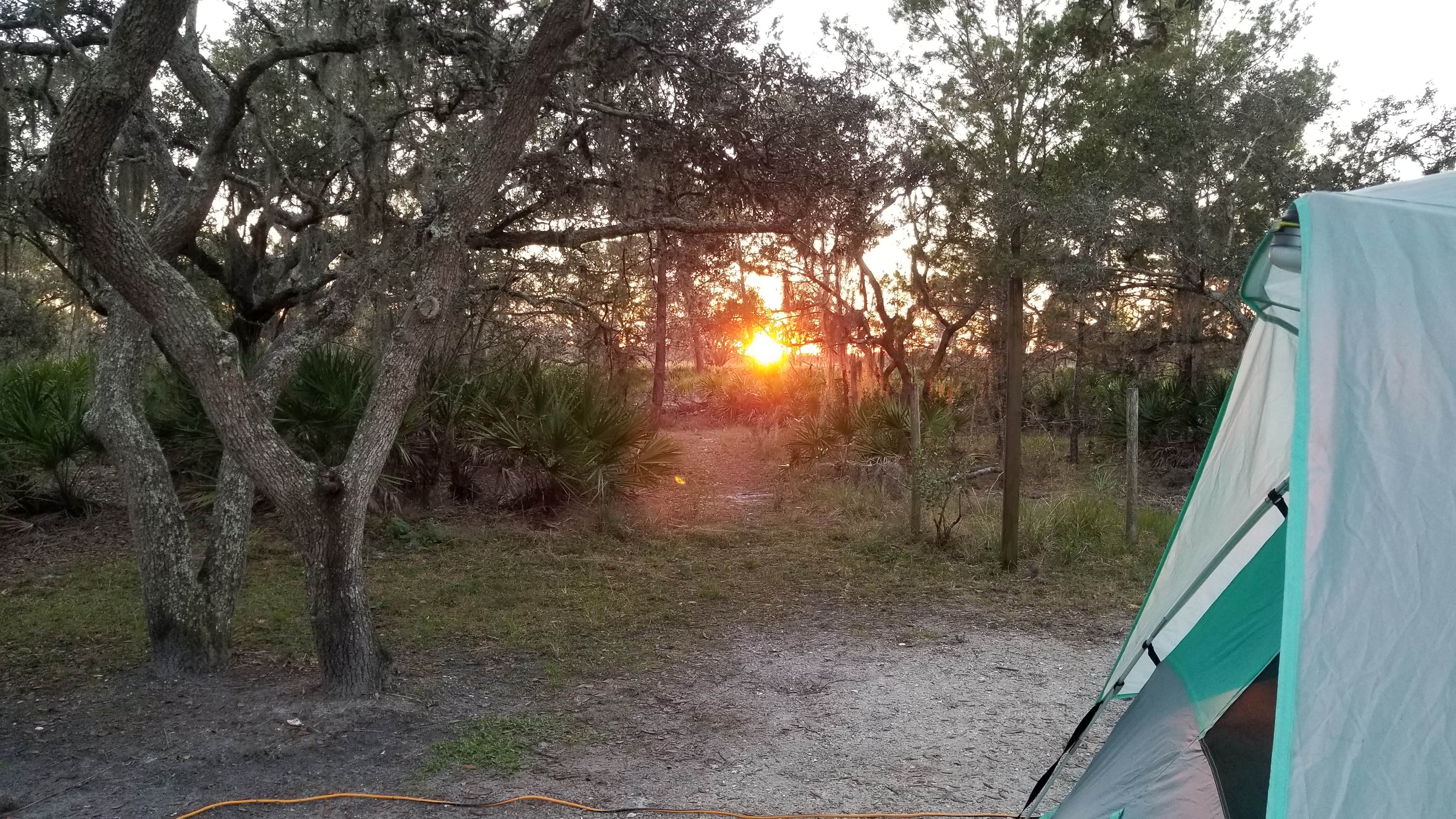 L O.'s photo at Lake Manatee State Park Campground near Myakka City, FL