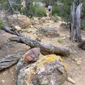 Review photo of Wide Hollow Campground — Escalante State Park by Lynden H., May 25, 2018