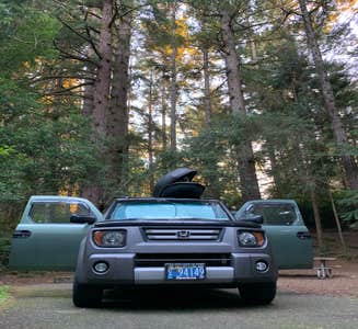 Camper-submitted photo from Jessie M. Honeyman Memorial State Park Campground