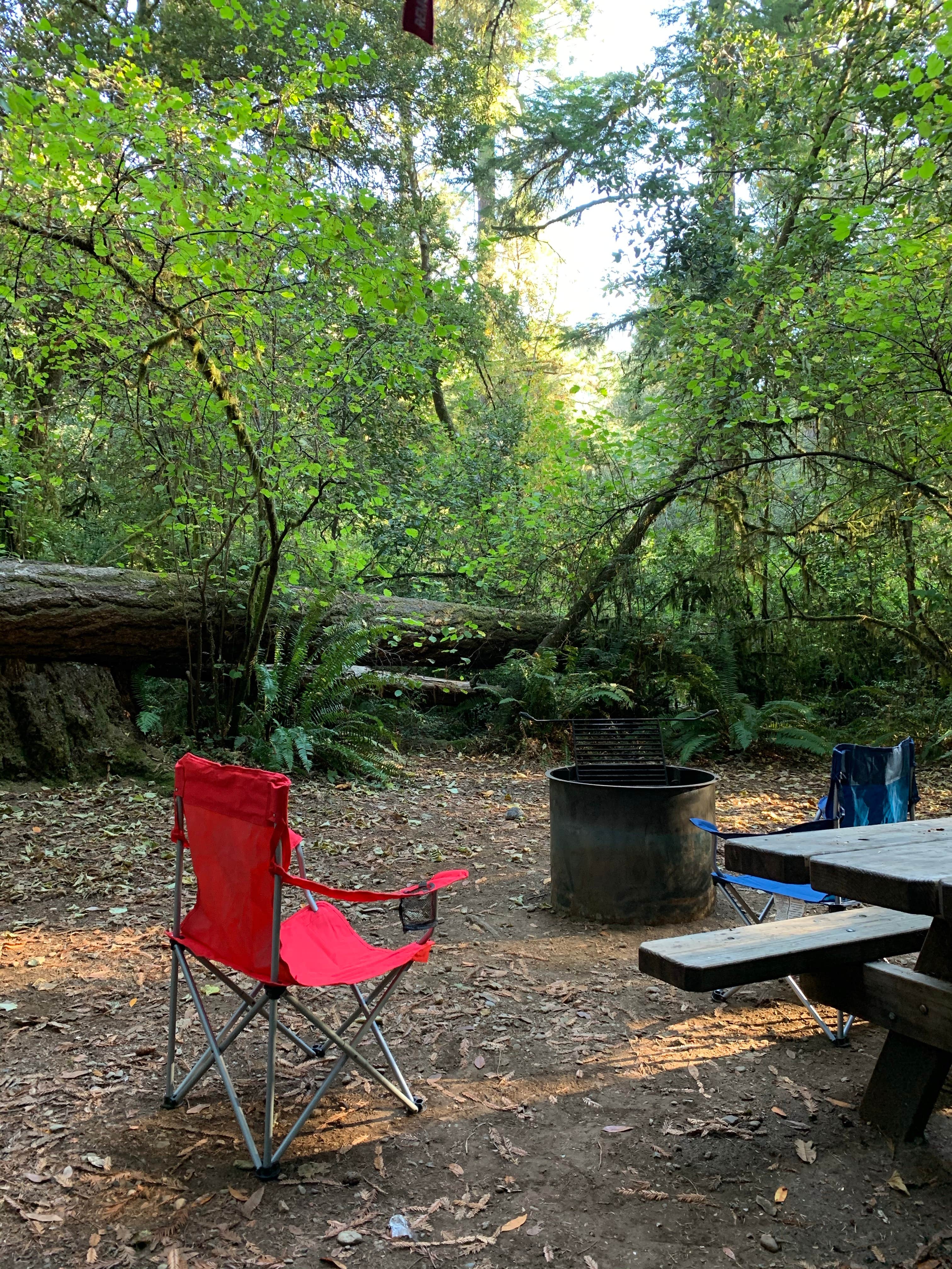 Astrid Q.'s photo at Jedidiah Smith Campground — Redwood National Park near Gasquet, CA
