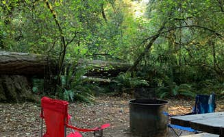 Astrid Q.'s photo at Jedediah Smith Redwoods State Park Campground near Fort Dick, CA