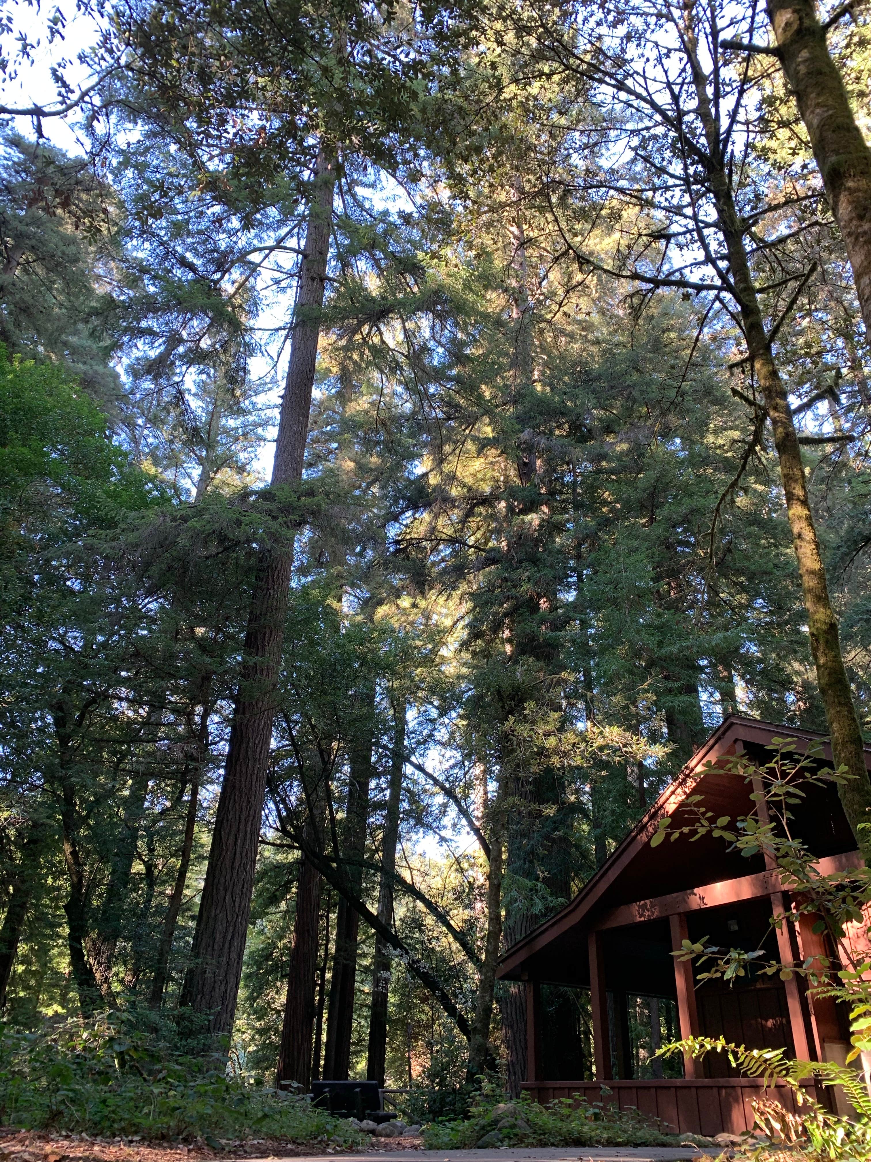 Astrid Q.'s photo of glamping accommodations at Jedidiah Smith Campground — Redwood National Park near O'Brien, OR