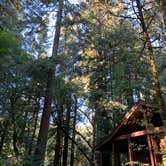 Review photo of Jedidiah Smith Campground — Redwood National Park by Astrid Q., December 10, 2020