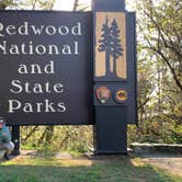 Review photo of Jedidiah Smith Campground — Redwood National Park by Astrid Q., December 10, 2020