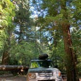 Review photo of Jedidiah Smith Campground — Redwood National Park by Astrid Q., December 10, 2020