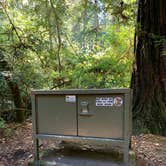 Review photo of Jedidiah Smith Campground — Redwood National Park by Astrid Q., December 10, 2020