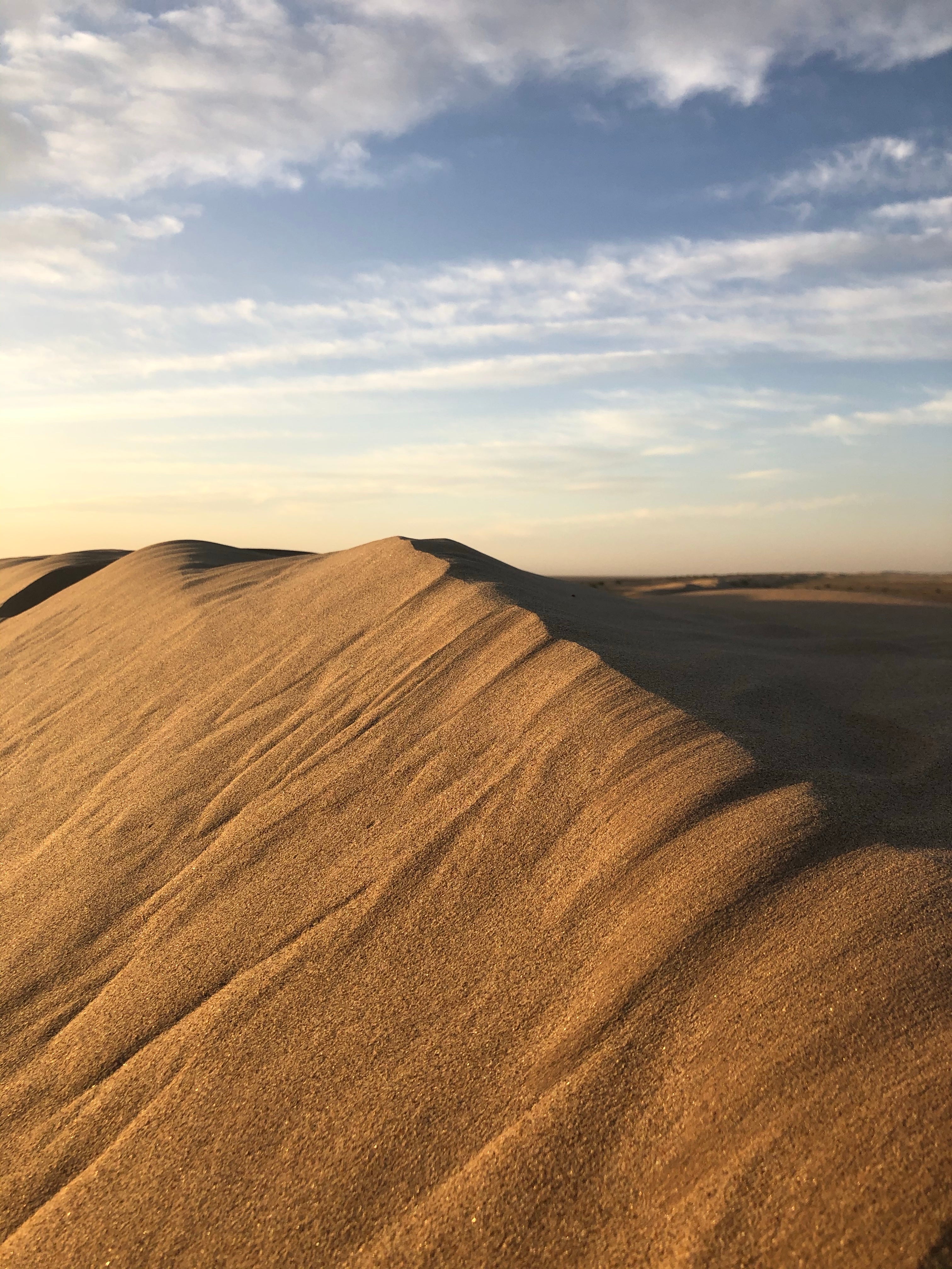 Camper submitted image from Gordon’s Well Sand Dunes - Imperial Sand Dunes Recreation Area - 2