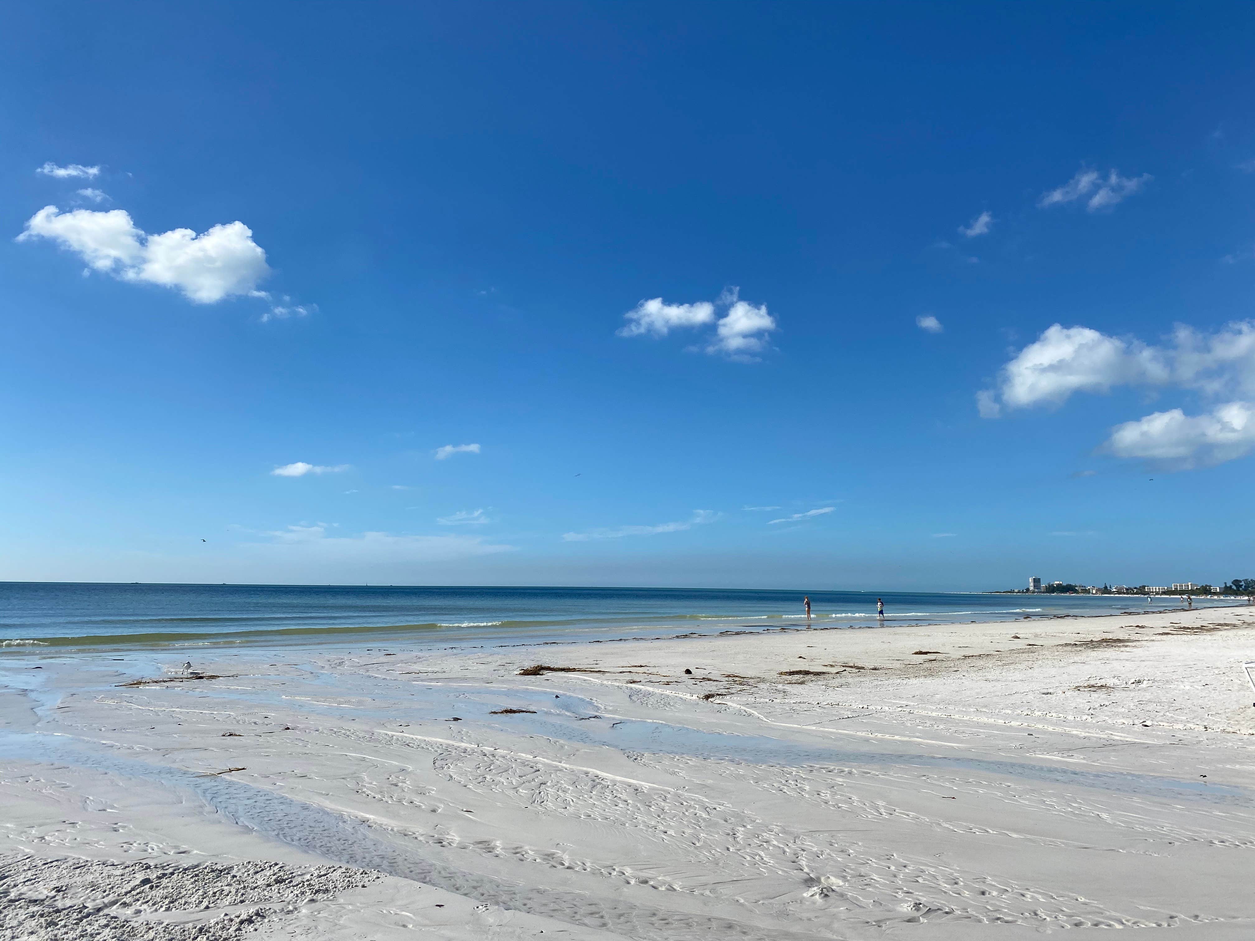 Camper-submitted photo at Sun N Fun RV Resort near Bradenton, FL