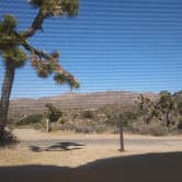 Review photo of Black Rock Campground — Joshua Tree National Park by Mallory D., May 25, 2018