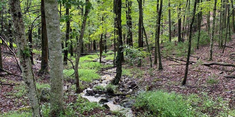 Camper submitted image from Pipestem Camping