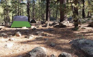Mallory D.'s photo of tent camping at Freidlein Prairie Dispersed Camping near Coconino National Forest Recreation
