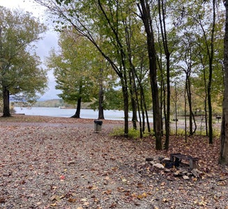 Camper-submitted photo from Spring Creek Primitive Campground — Mousetail Landing State Park