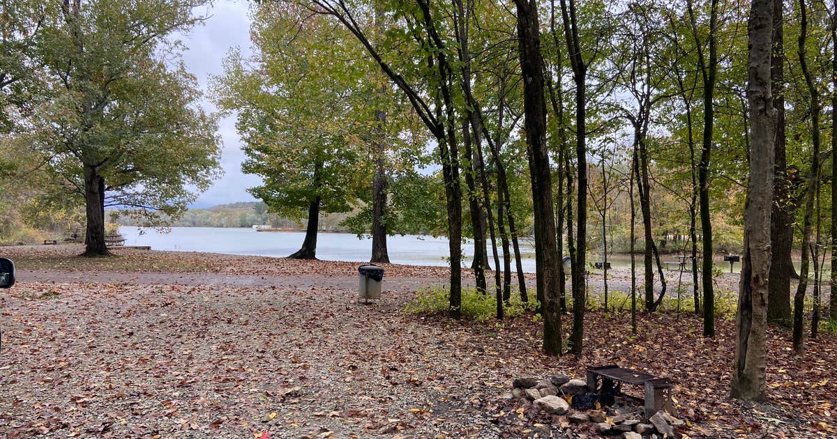 Parson Tenn Spring Creek Primitive Campground — Mousetail Landing State Park ...