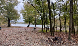 Camping near Ripple Valley Farms: Spring Creek Primitive Campground — Mousetail Landing State Park, Parsons, Tennessee