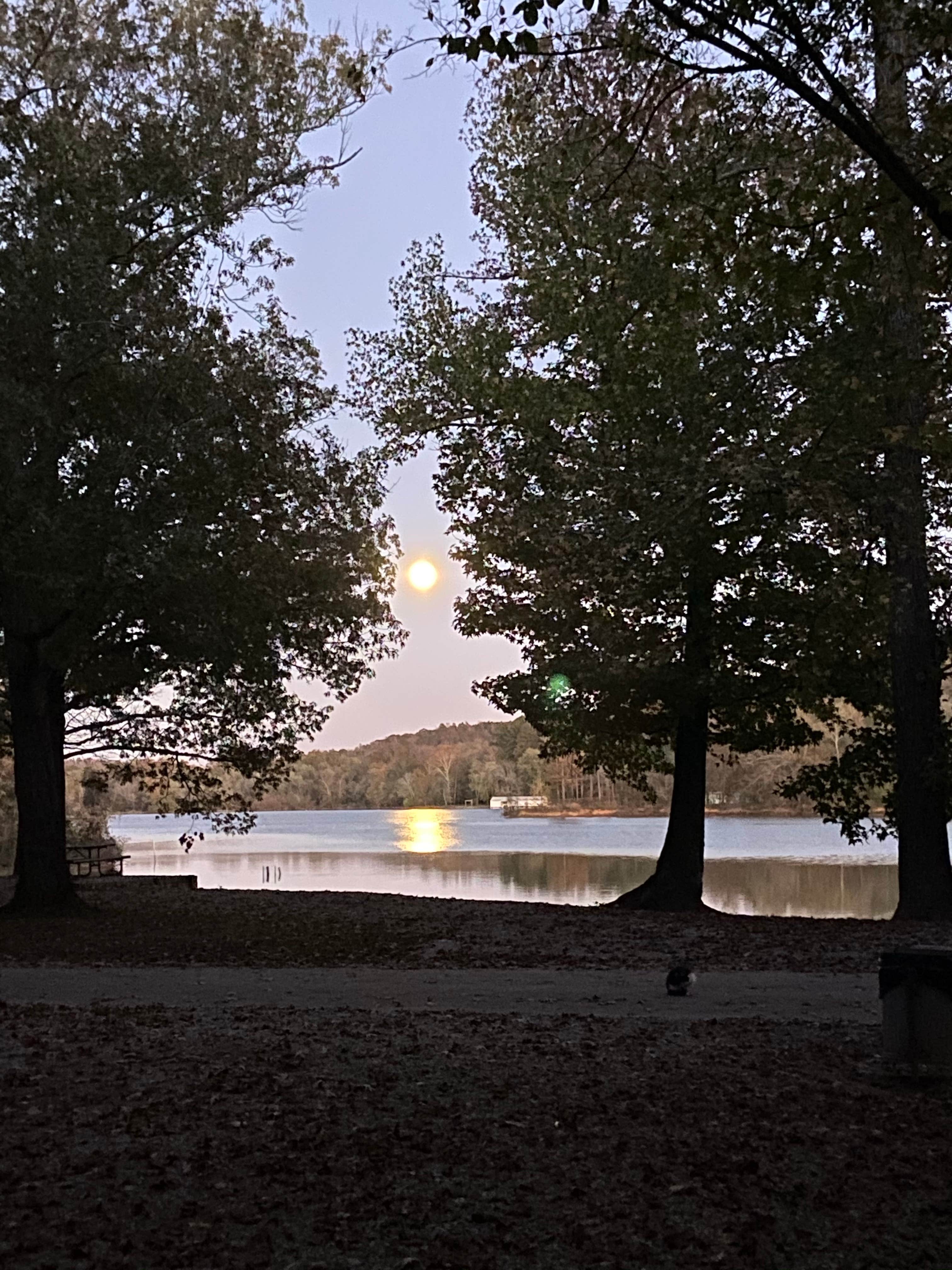 Camper-submitted photo at Spring Creek Primitive Campground — Mousetail Landing State Park near Linden, TN