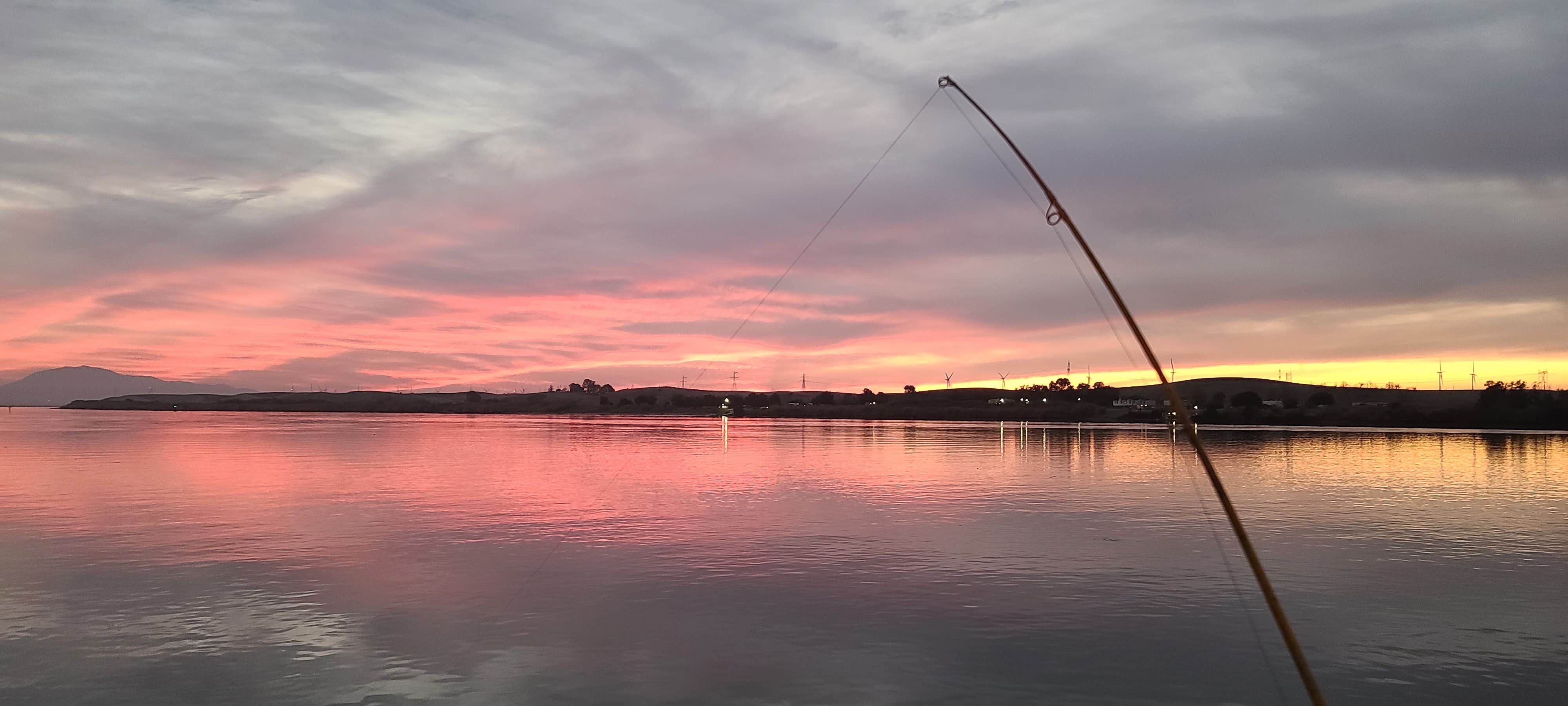 Camper-submitted photo at Duck Island RV Park near Oakley, CA