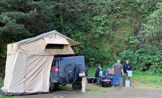 Camping near Salmon Harbor RV Park: Windy Cove Campground (Section A), Reedsport, Oregon