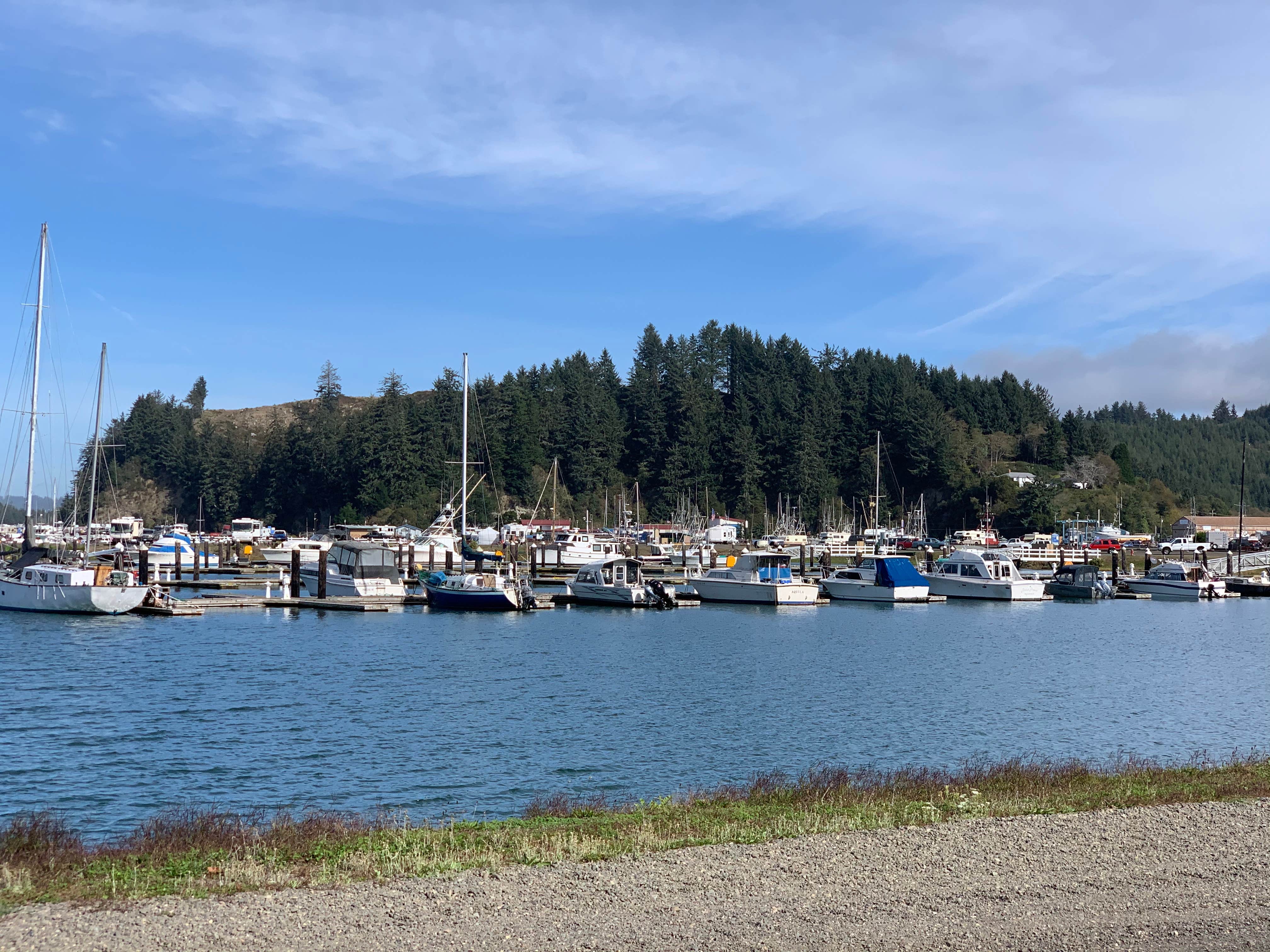 Camper-submitted photo at Windy Cove Campground (Section A) near Florence, OR