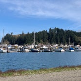Review photo of Windy Cove Campground (Section A) by Seathrough H., December 11, 2020