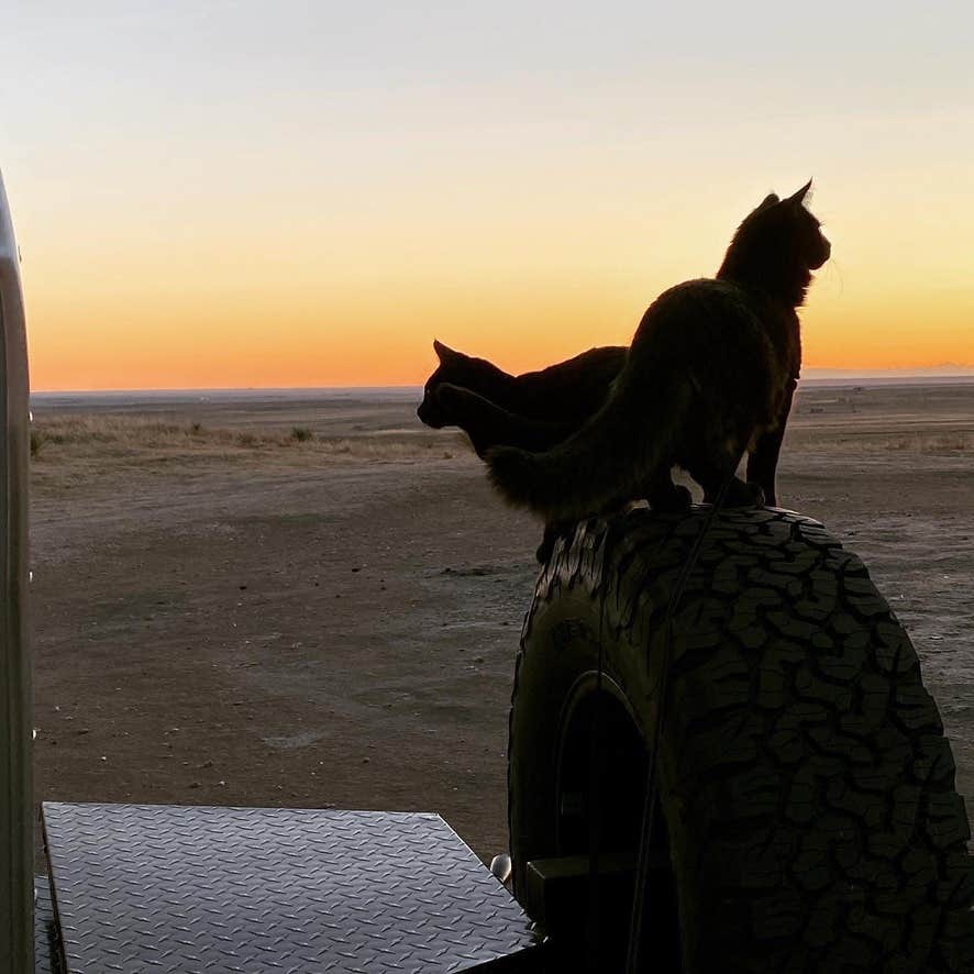 Camper submitted image from Pawnee Buttes - Dispersed Camping - 1