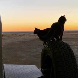 Pawnee Buttes - Dispersed Camping